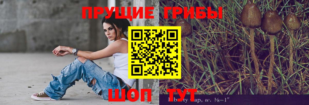 Галлюциногенные грибы ЛСД Алексеевка