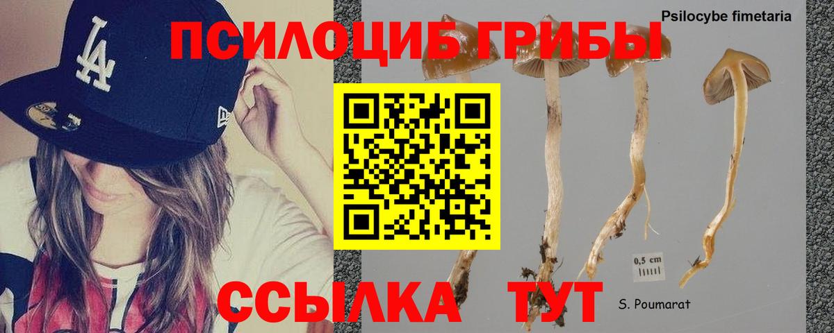 Алексеевка  Галлюциногенные грибы Magic Shrooms  Псилоцибиновые грибы прущие грибы  сколько стоит  Вход с VPN 